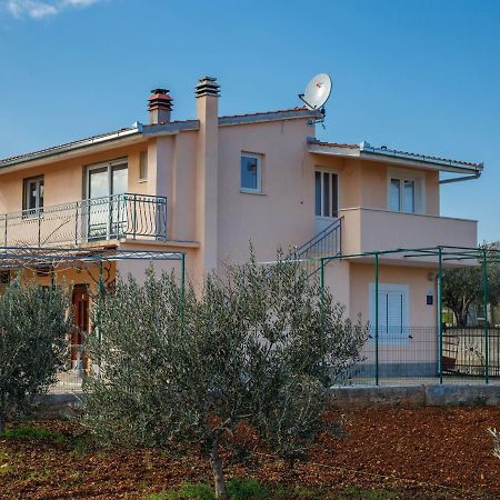 Guest House Pelja Plano Extérieur photo